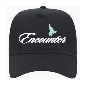 YA Encounter Snapback